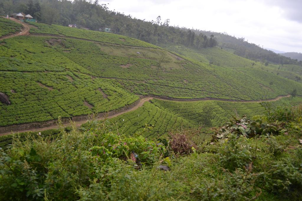 Ferndale Homestay Thekkady Eksteriør billede