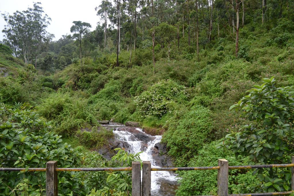 Ferndale Homestay Thekkady Eksteriør billede