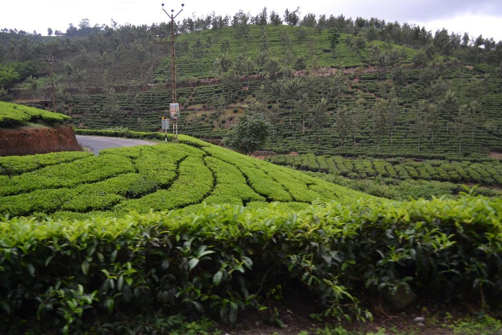 Ferndale Homestay Thekkady Eksteriør billede