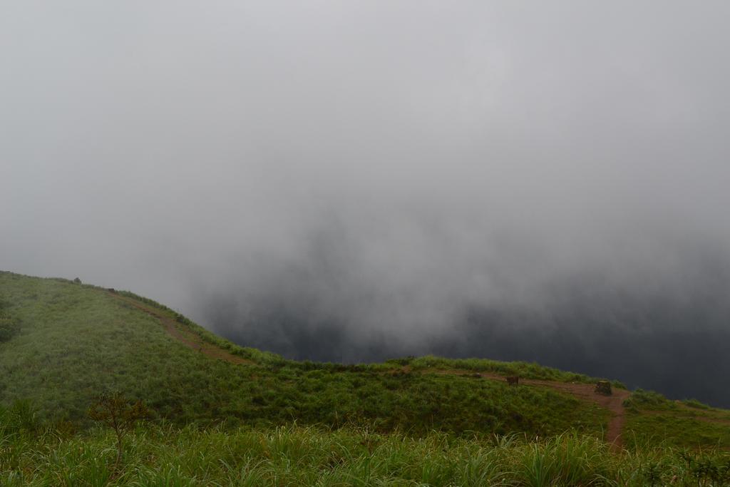 Ferndale Homestay Thekkady Eksteriør billede