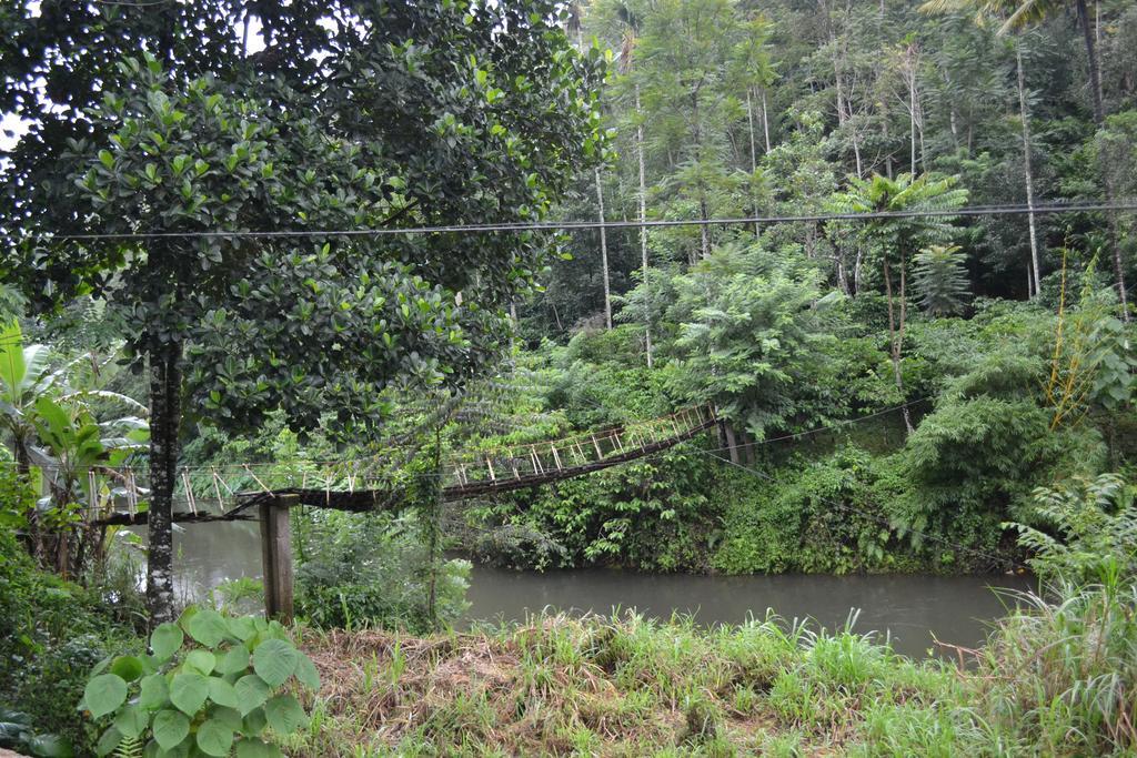 Ferndale Homestay Thekkady Eksteriør billede