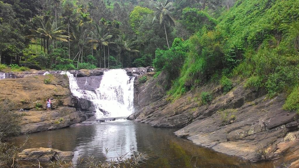Ferndale Homestay Thekkady Eksteriør billede