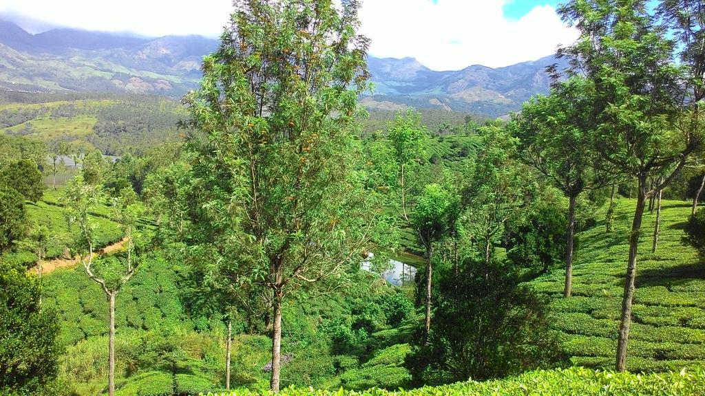 Ferndale Homestay Thekkady Eksteriør billede