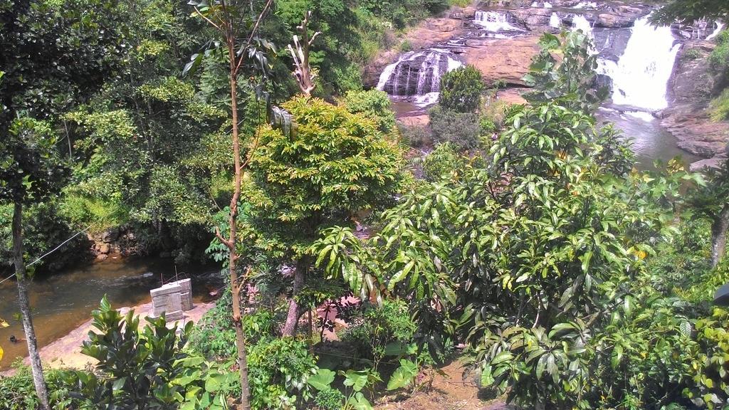 Ferndale Homestay Thekkady Eksteriør billede