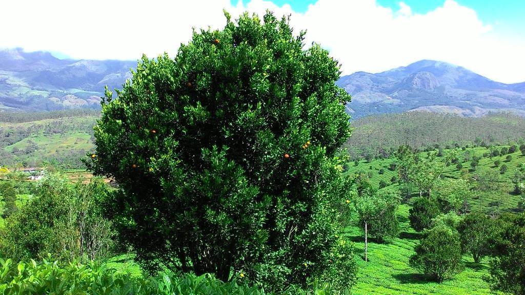 Ferndale Homestay Thekkady Eksteriør billede