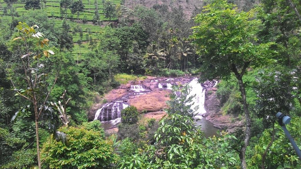 Ferndale Homestay Thekkady Eksteriør billede